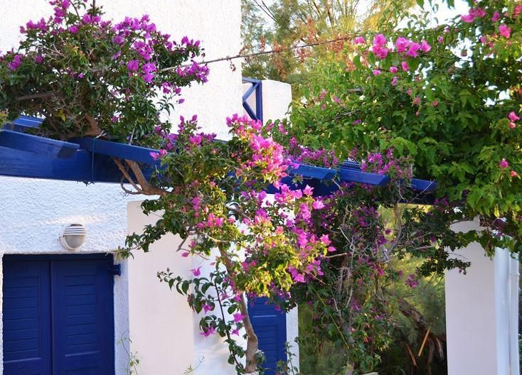 Syros Inn Galissas Eksteriør billede